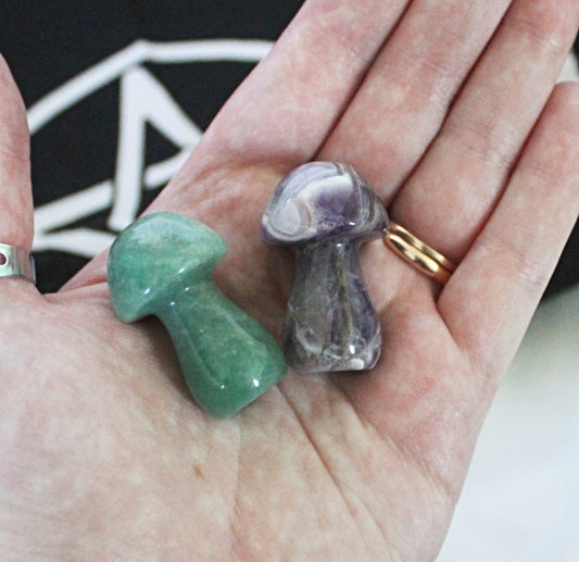 Crystal Mushrooms Amethyst and Green Aventurine