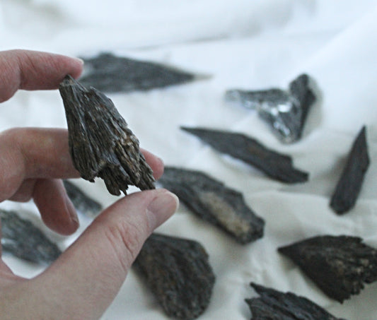 Black Kyanite Raw Crystal