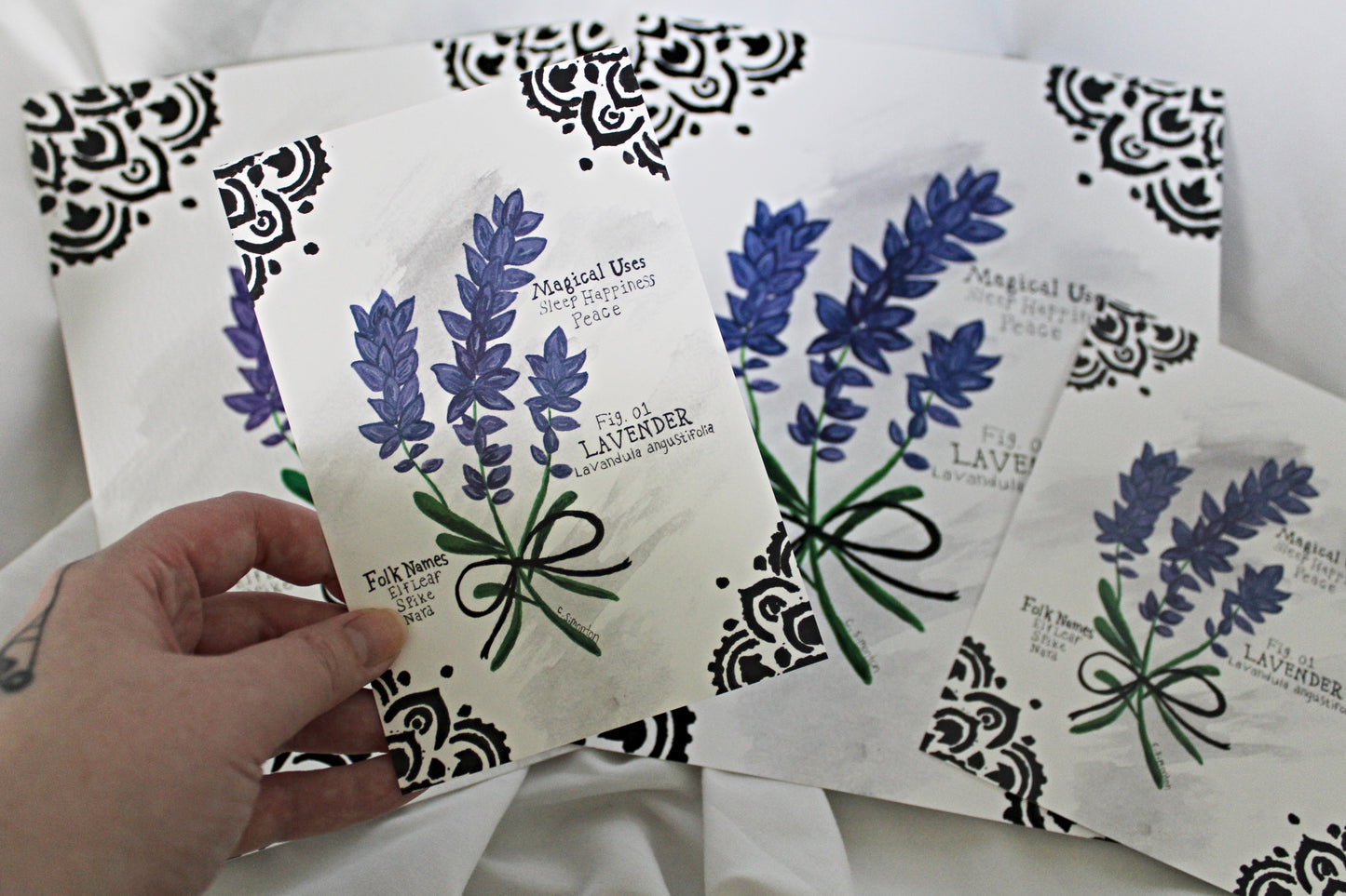 Lavender Art Print
