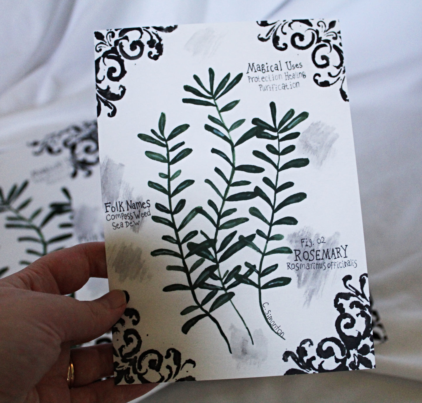 Rosemary Art Print