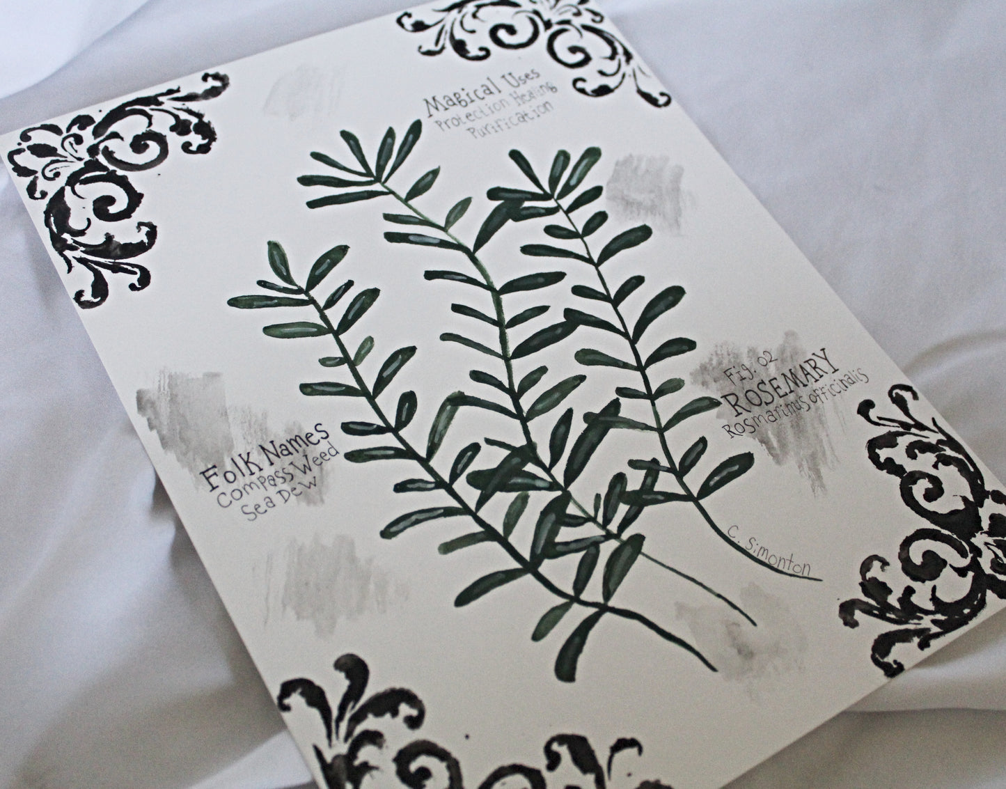 Rosemary Art Print