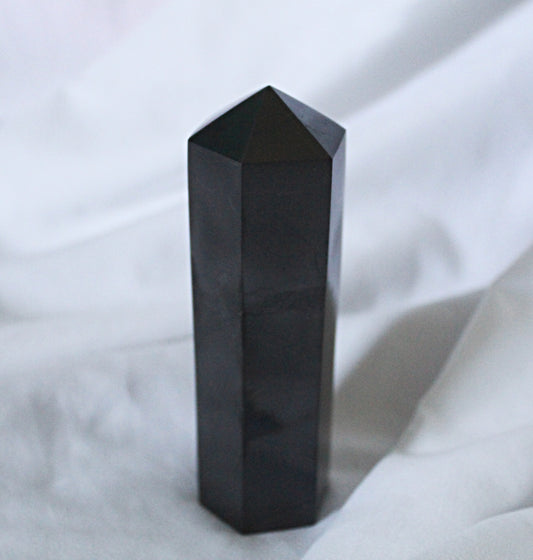 Shungite Polished Points