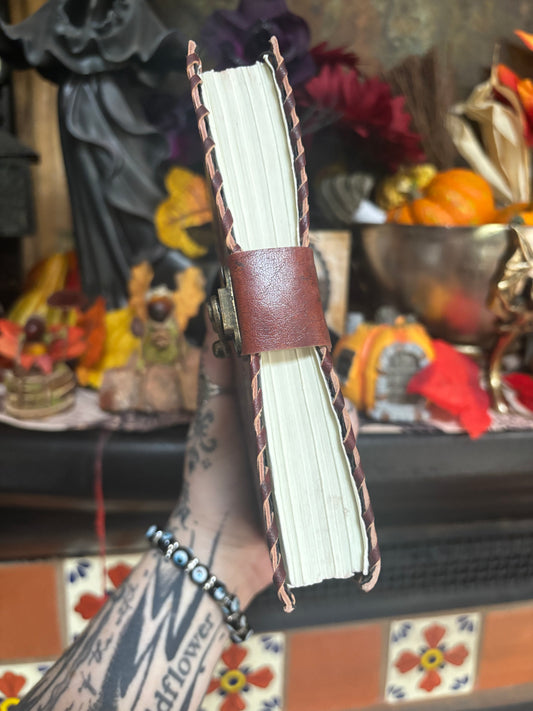 Sun and Moon Journal