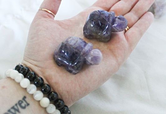 Amethyst Turtle