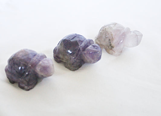 Amethyst Turtle