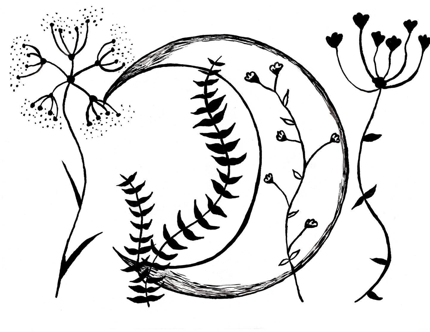 Moon and Wildflower Art Print