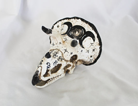 Triceratops Triple Moon Dino Head Décor