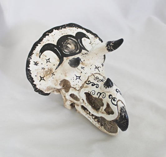 Triceratops Triple Moon Dino Head Décor