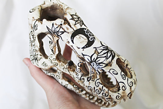 T-Rex Witchy Dino Head Décor - Wildflower Moon Magic