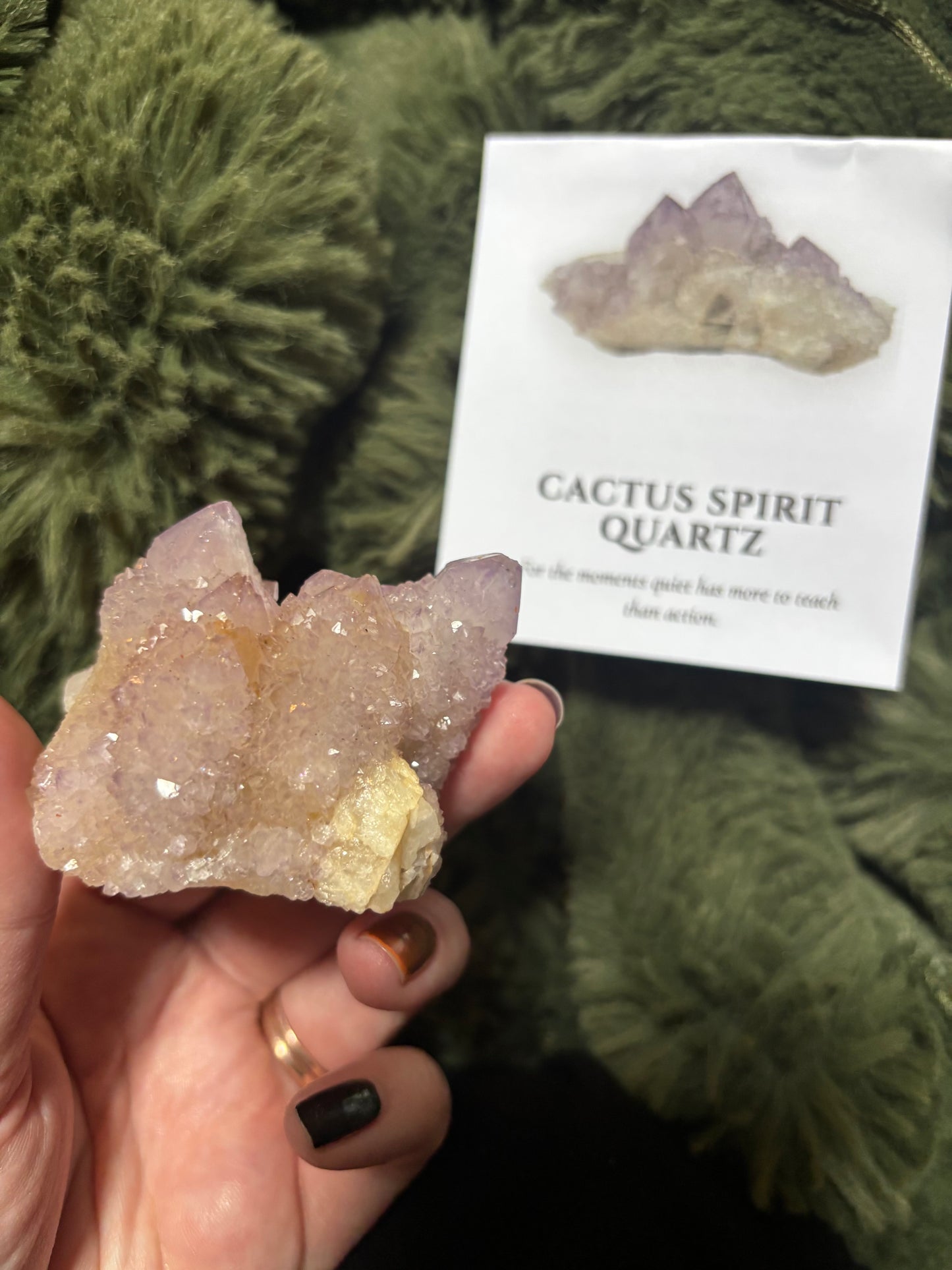 Cactus Spirit Quartz