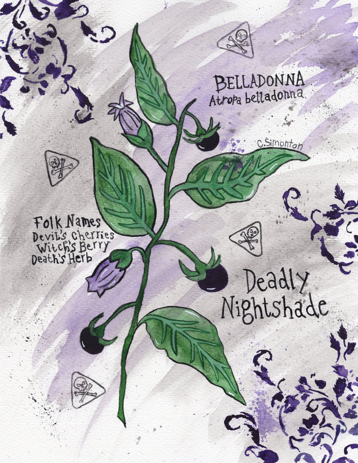 Belladonna Deadly Nightshade Art Print