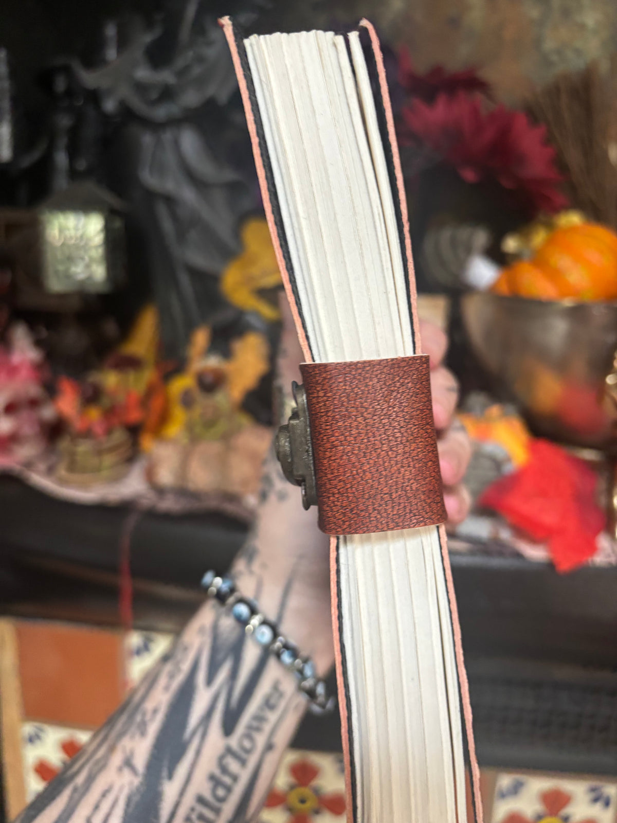 Fairy Journal