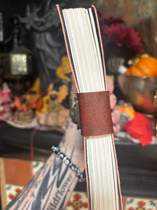 Fairy Journal