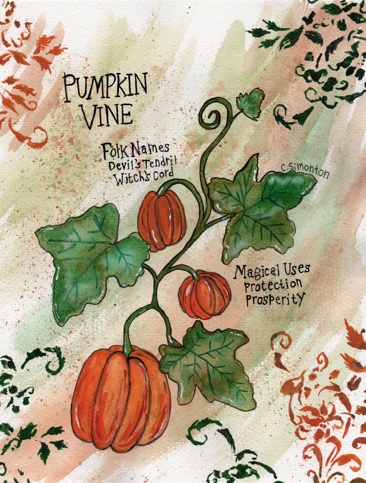 Pumpkin Vine Art Print