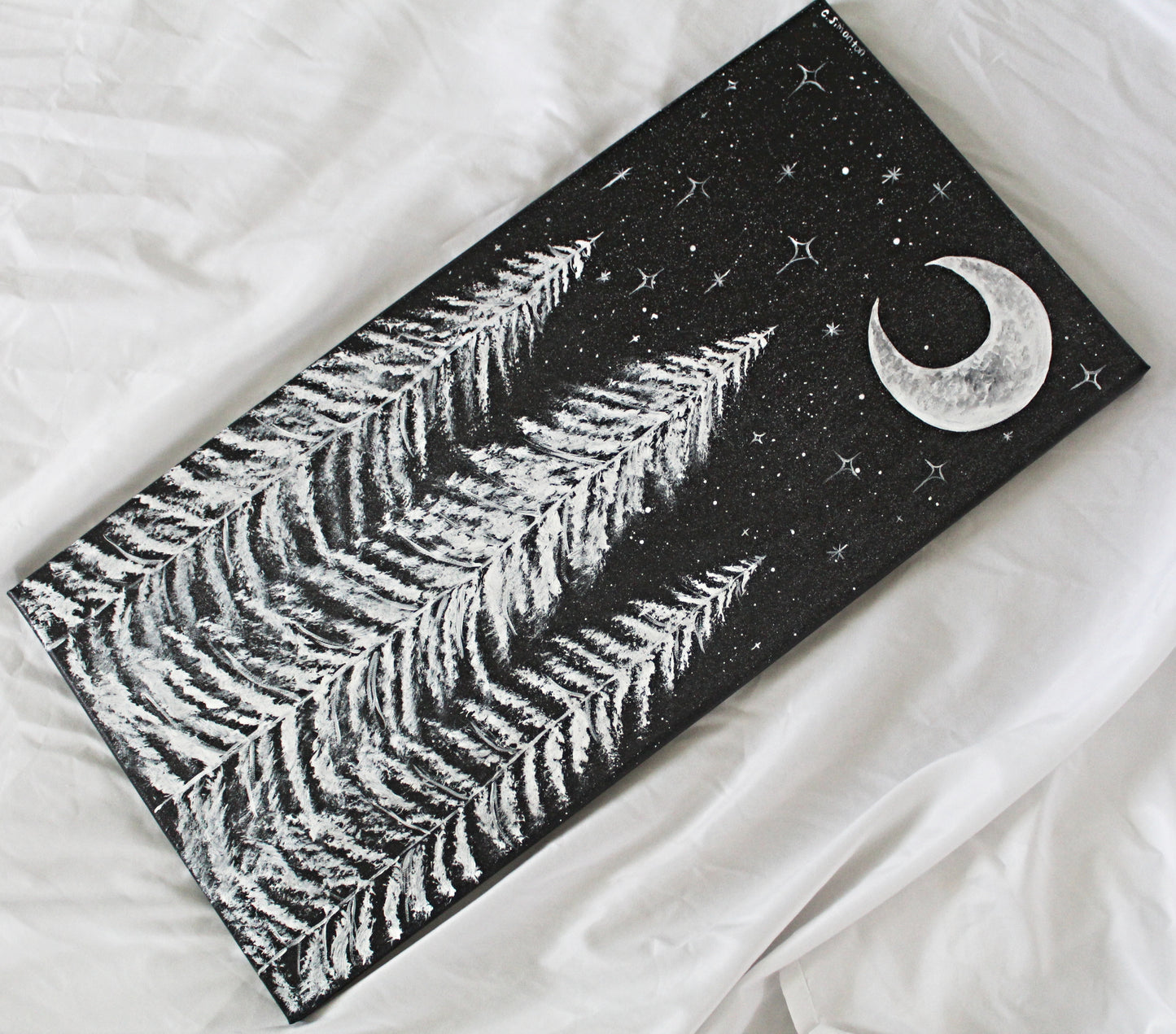 Black and White Night Sky Canvas Painting