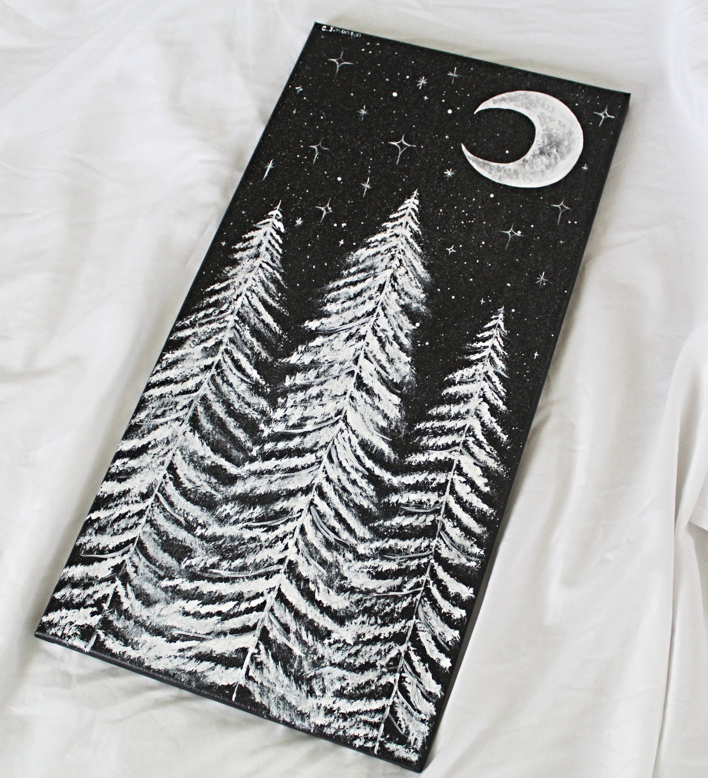 Black and White Night Sky Canvas Painting