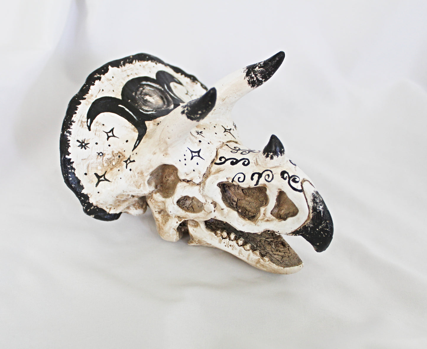 Triceratops Triple Moon Dino Head Décor