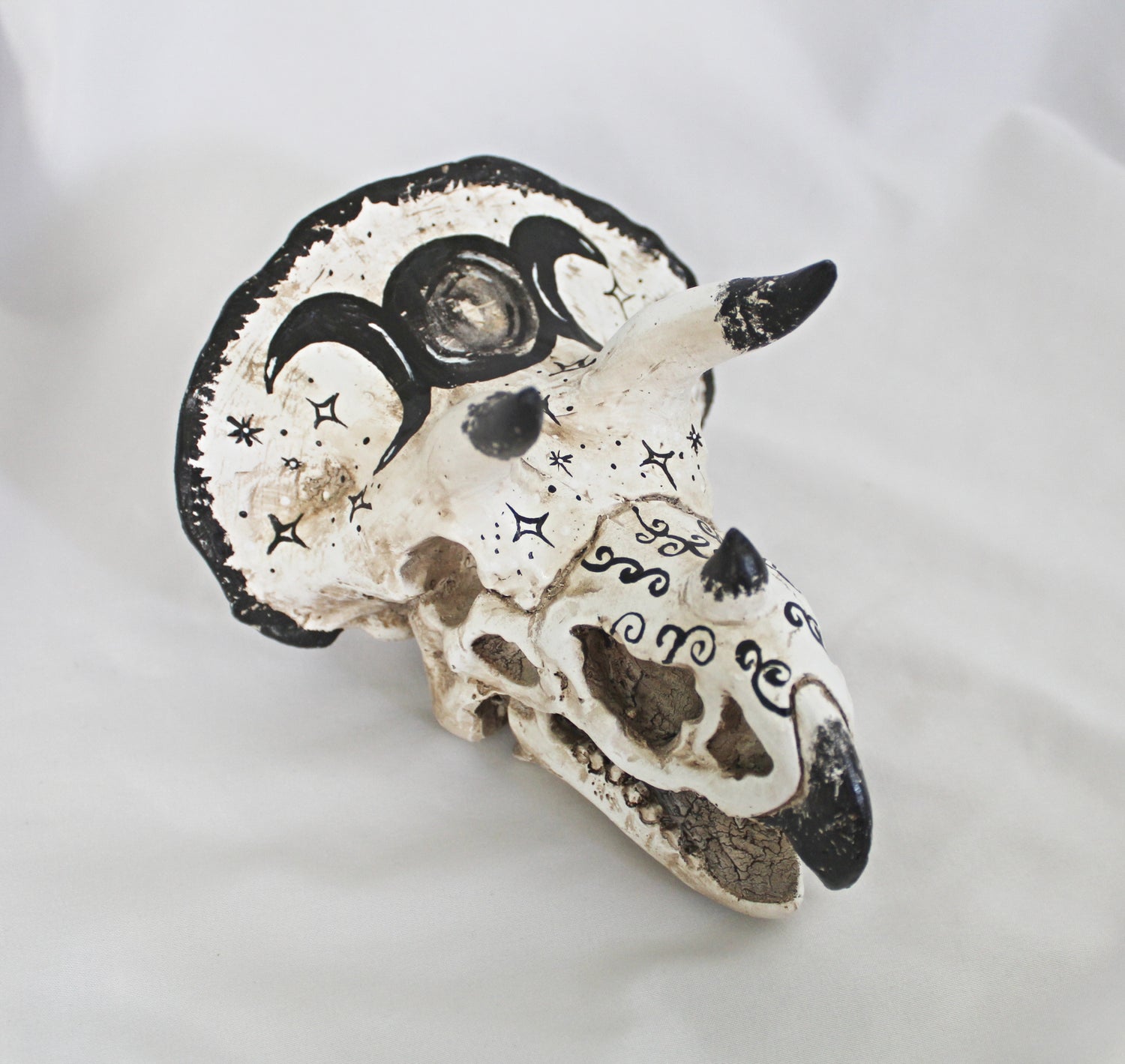 Dinosaur Skulls