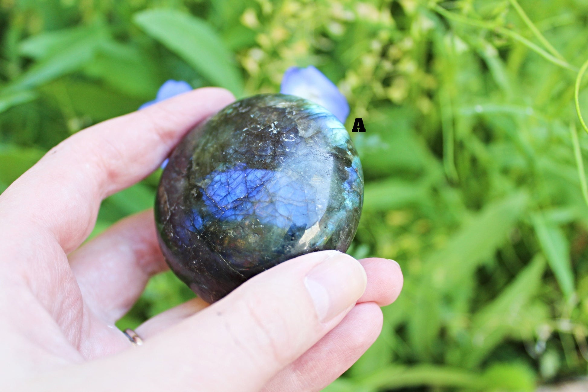 Labradorite Palm Stones (Ethically Sourced) - Wildflower Moon Magic