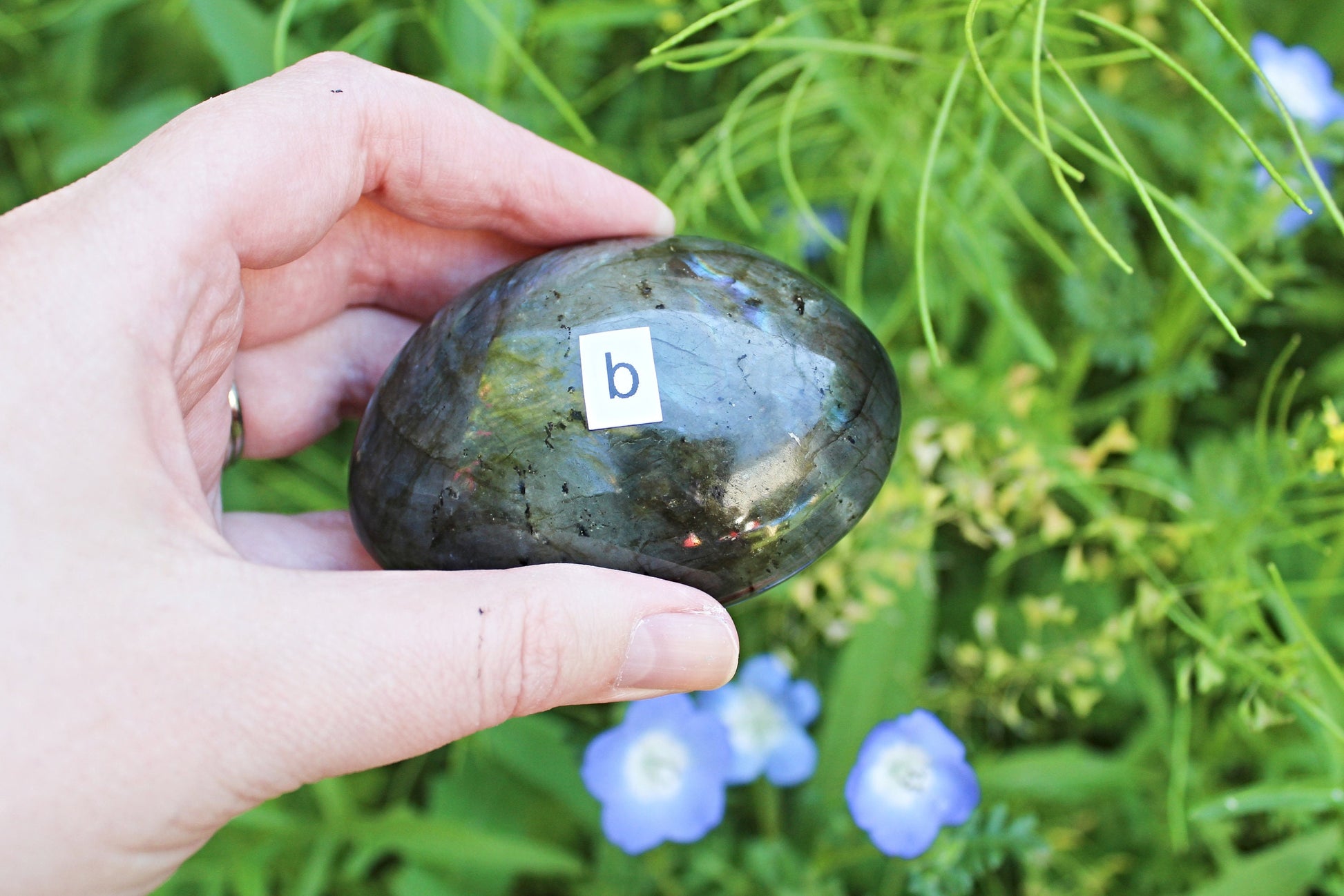 Labradorite Palm Stones (Ethically Sourced) - Wildflower Moon Magic