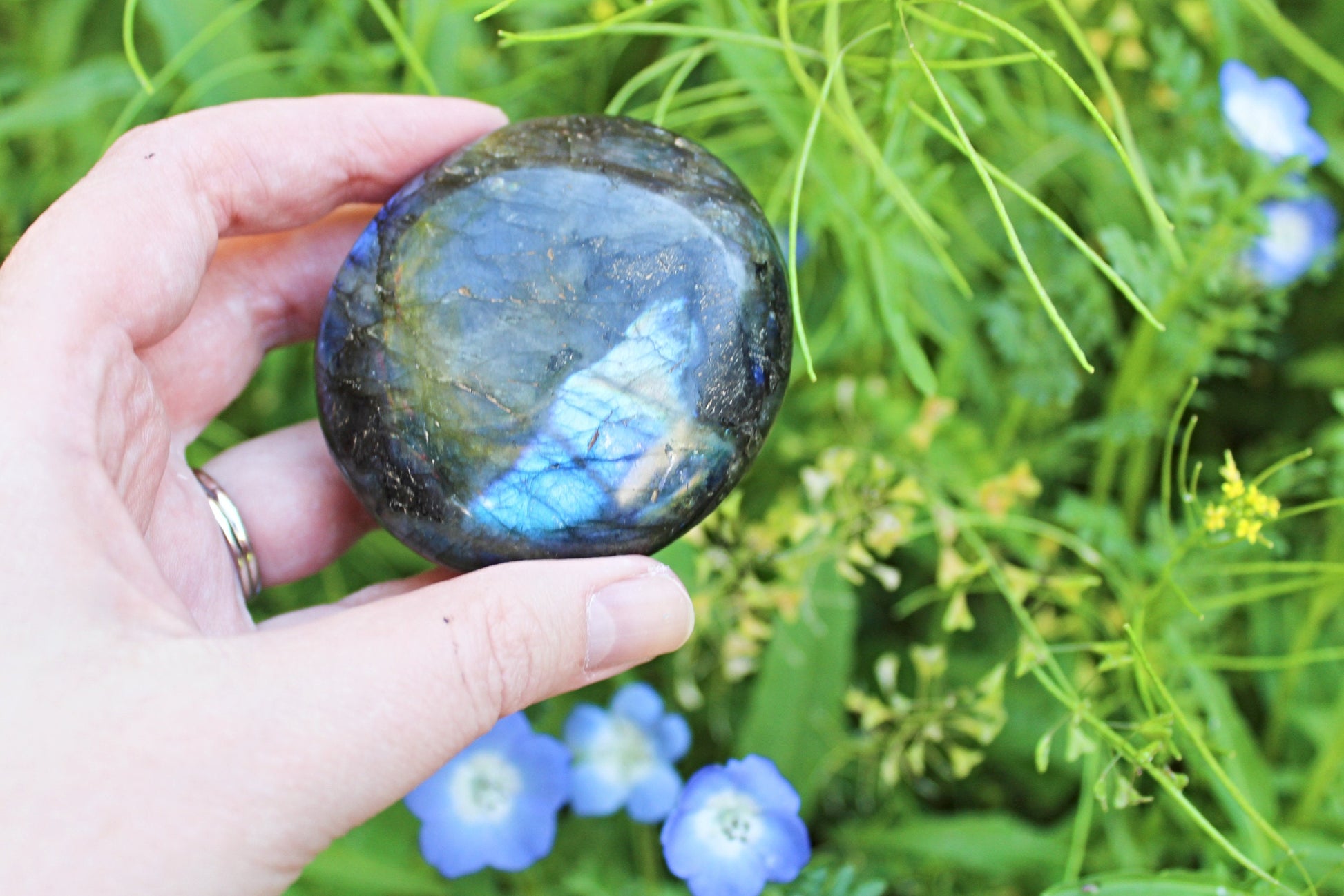 Labradorite Palm Stones (Ethically Sourced) - Wildflower Moon Magic