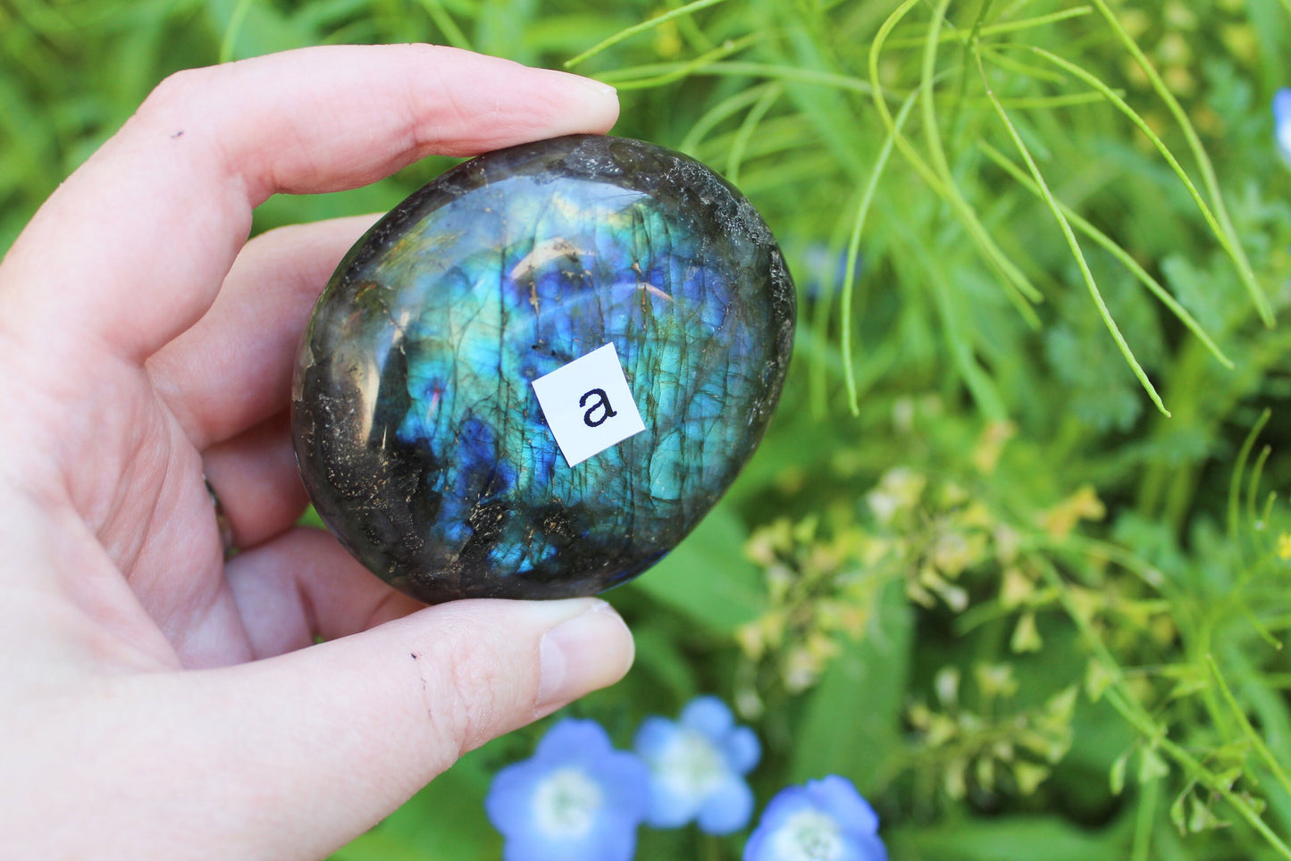 Labradorite Palm Stones (Ethically Sourced) - Wildflower Moon Magic