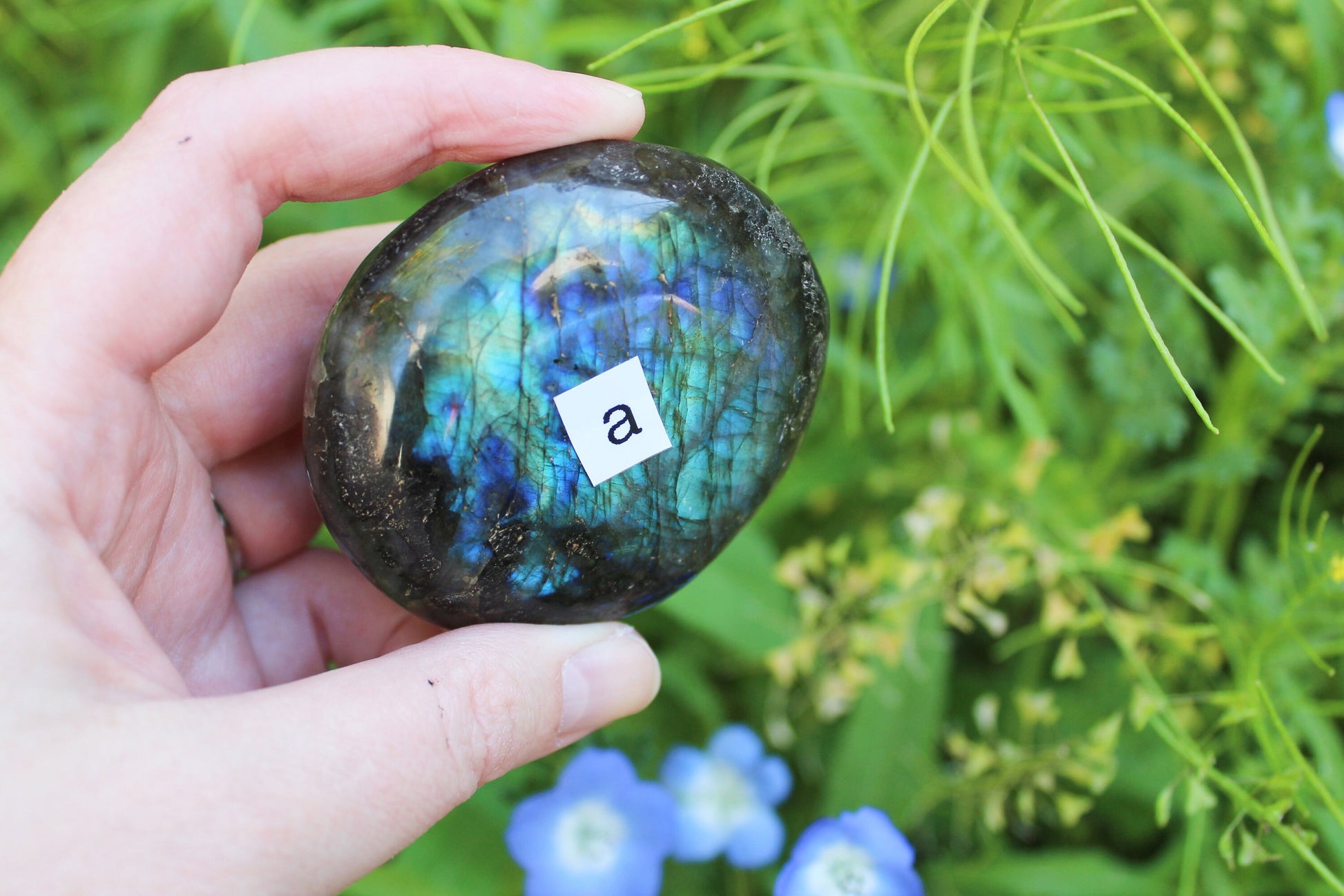 Labradorite Palm Stones (Ethically Sourced) - Wildflower Moon Magic