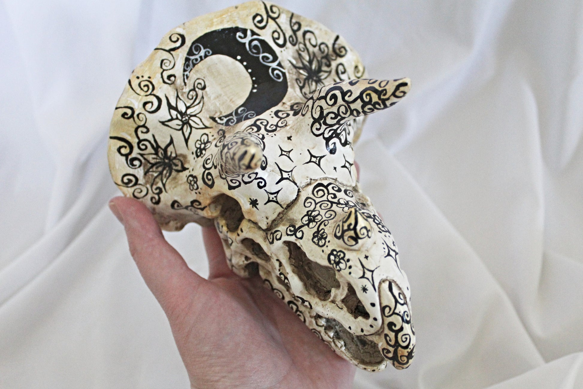 Triceratops Witchy Dino Head Décor - Wildflower Moon Magic