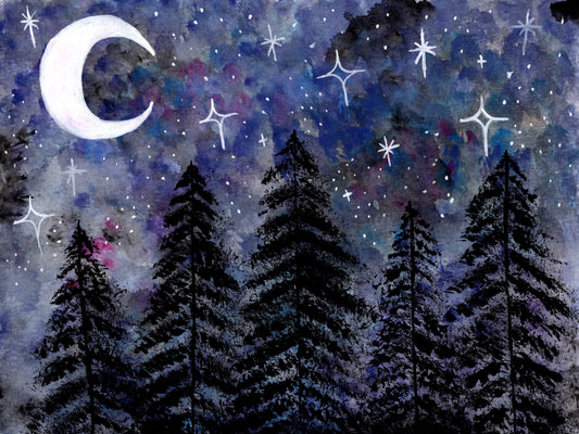 Forest Night Scene Art Print